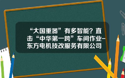 “大国重器”有多智能？直击“中华第一跨”车间作业-东方电机技改服务有限公司