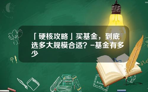 「硬核攻略」买基金，到底选多大规模合适？-基金有多少