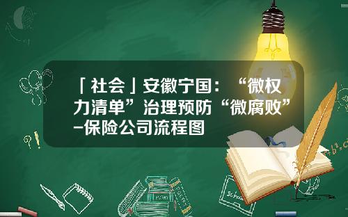 「社会」安徽宁国：“微权力清单”治理预防“微腐败”-保险公司流程图