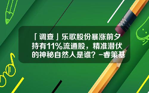 「调查」乐歌股份暴涨前夕持有11%流通股，精准潜伏的神秘自然人是谁？-睿策基金