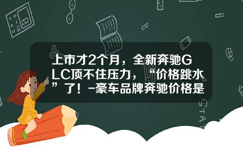 上市才2个月，全新奔驰GLC顶不住压力，“价格跳水”了！-豪车品牌奔驰价格是多少