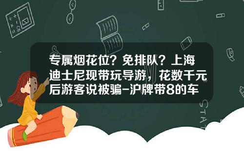 专属烟花位？免排队？上海迪士尼现带玩导游，花数千元后游客说被骗-沪牌带8的车牌多少钱【新闻】.