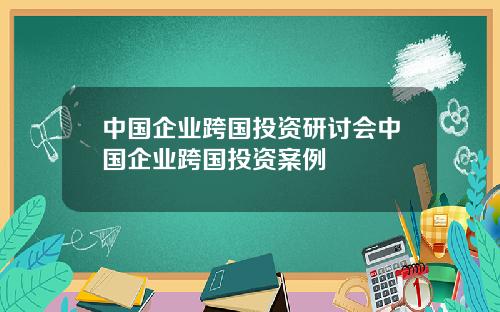 中国企业跨国投资研讨会中国企业跨国投资案例