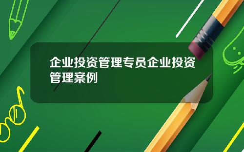 企业投资管理专员企业投资管理案例