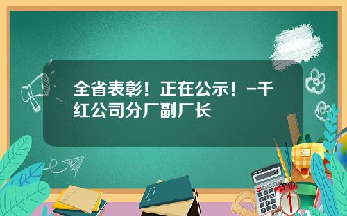 全省表彰！正在公示！-千红公司分厂副厂长