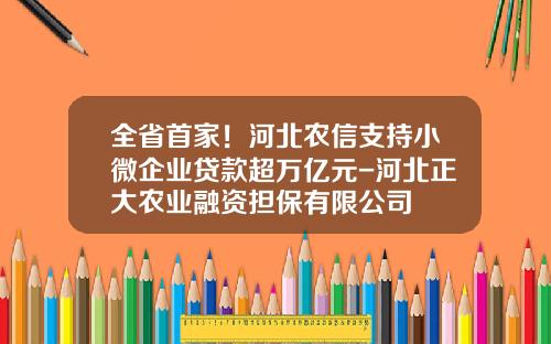 全省首家！河北农信支持小微企业贷款超万亿元-河北正大农业融资担保有限公司