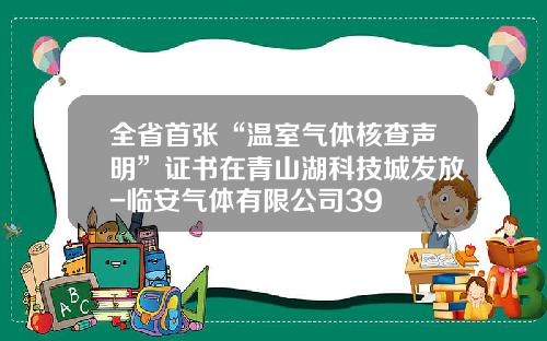 全省首张“温室气体核查声明”证书在青山湖科技城发放-临安气体有限公司39
