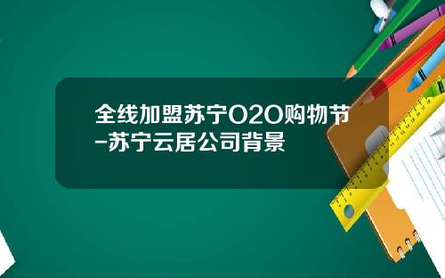 全线加盟苏宁O2O购物节-苏宁云居公司背景