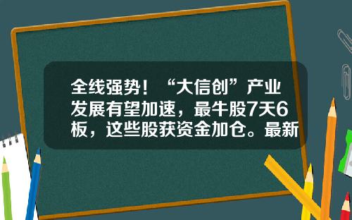 全线强势！“大信创”产业发展有望加速，最牛股7天6板，这些股获资金加仓。最新一期筹码集中股来了，4股股东户数降幅超10%-大信精密模具有限公司