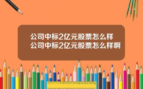 公司中标2亿元股票怎么样公司中标2亿元股票怎么样啊