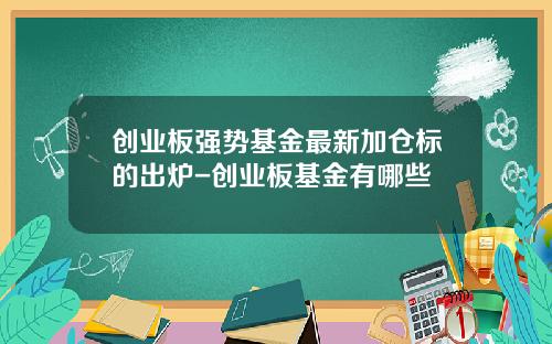 创业板强势基金最新加仓标的出炉-创业板基金有哪些