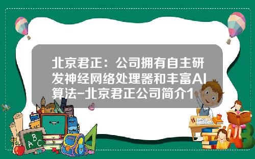 北京君正：公司拥有自主研发神经网络处理器和丰富AI算法-北京君正公司简介1