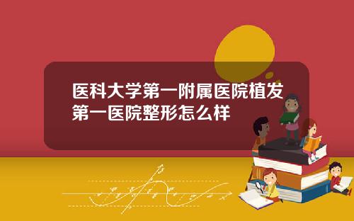医科大学第一附属医院植发第一医院整形怎么样