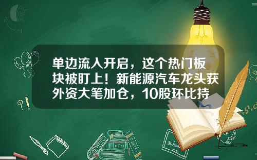 单边流入开启，这个热门板块被盯上！新能源汽车龙头获外资大笔加仓，10股环比持股数翻倍（附股）-时报资讯股票