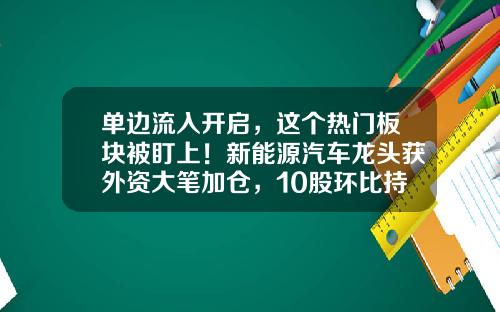单边流入开启，这个热门板块被盯上！新能源汽车龙头获外资大笔加仓，10股环比持股数翻倍（附股）-股票持仓资讯提醒