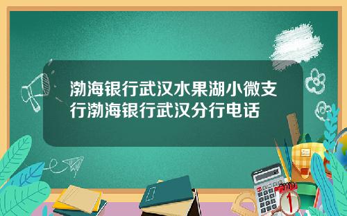 渤海银行武汉水果湖小微支行渤海银行武汉分行电话