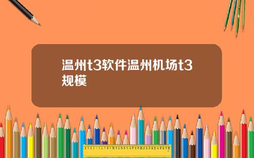 温州t3软件温州机场t3规模