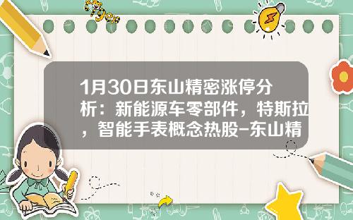 1月30日东山精密涨停分析：新能源车零部件，特斯拉，智能手表概念热股-东山精密股票资讯【新闻】.