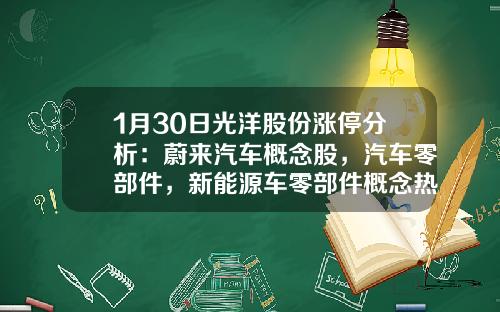 1月30日光洋股份涨停分析：蔚来汽车概念股，汽车零部件，新能源车零部件概念热股-蔚来一手资讯股票【新闻】.