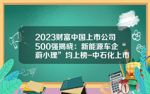 2023财富中国上市公司500强揭晓：新能源车企“蔚小理”均上榜-中石化上市子公司