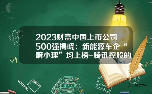 2023财富中国上市公司500强揭晓：新能源车企“蔚小理”均上榜-腾讯控股的上市公司有哪些