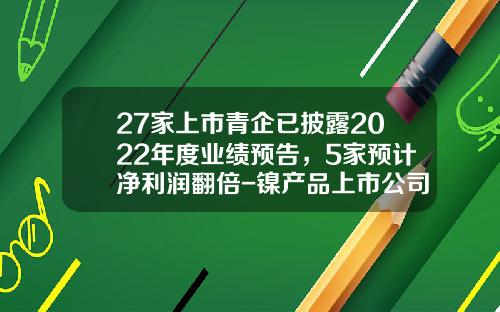 27家上市青企已披露2022年度业绩预告，5家预计净利润翻倍-镍产品上市公司