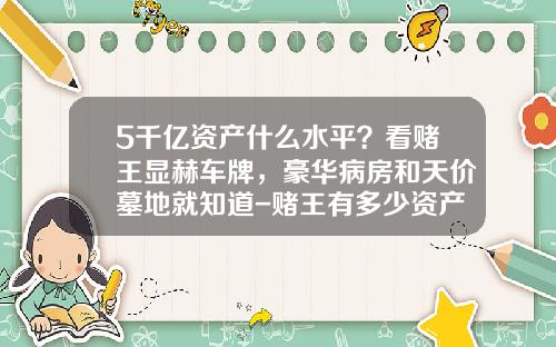 5千亿资产什么水平？看赌王显赫车牌，豪华病房和天价墓地就知道-赌王有多少资产【新闻】