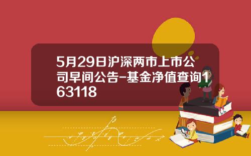 5月29日沪深两市上市公司早间公告-基金净值查询163118