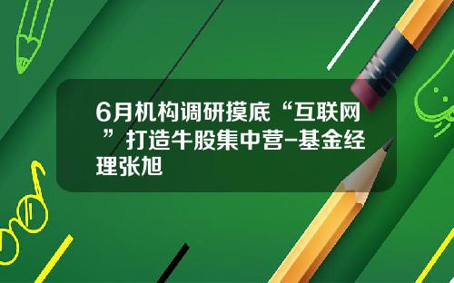 6月机构调研摸底“互联网+”打造牛股集中营-基金经理张旭
