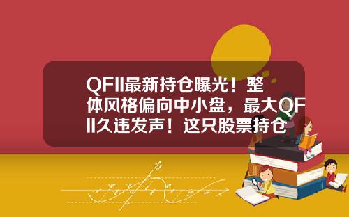 QFII最新持仓曝光！整体风格偏向中小盘，最大QFII久违发声！这只股票持仓变动最大-QFII基金