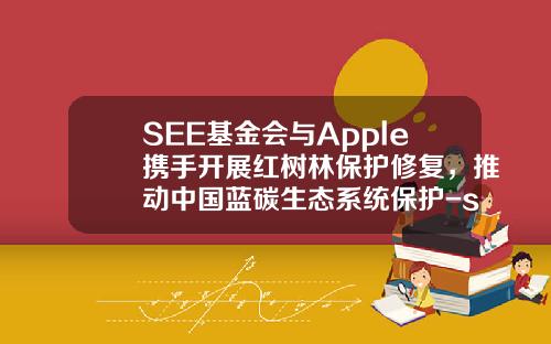 SEE基金会与Apple携手开展红树林保护修复，推动中国蓝碳生态系统保护-see基金会