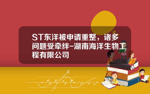 ST东洋被申请重整，诸多问题受牵绊-湖南海洋生物工程有限公司