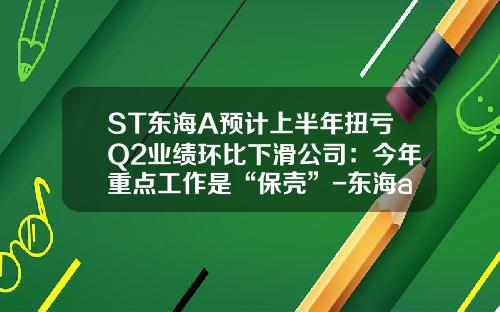 ST东海A预计上半年扭亏Q2业绩环比下滑公司：今年重点工作是“保壳”-东海a股票资讯