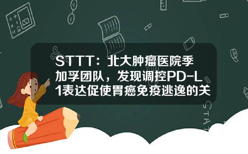 STTT：北大肿瘤医院季加孚团队，发现调控PD-L1表达促使胃癌免疫逃逸的关键表观遗传“开关”！-北大医疗肿瘤管理有限公司