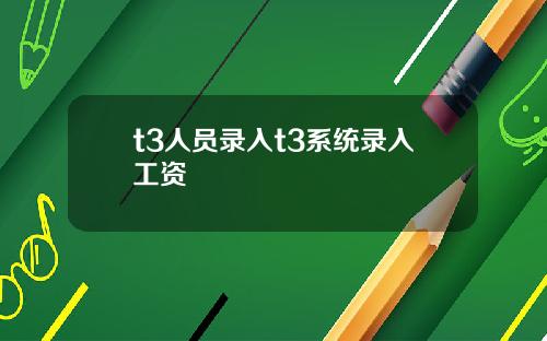 t3人员录入t3系统录入工资