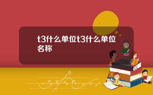 t3什么单位t3什么单位名称