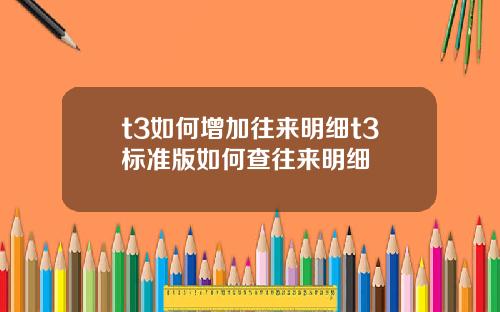 t3如何增加往来明细t3标准版如何查往来明细