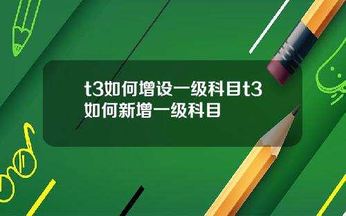 t3如何增设一级科目t3如何新增一级科目