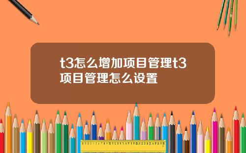 t3怎么增加项目管理t3项目管理怎么设置