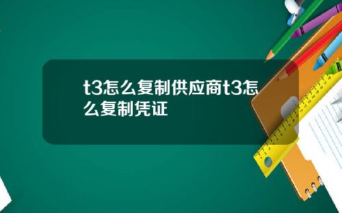 t3怎么复制供应商t3怎么复制凭证