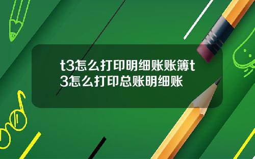 t3怎么打印明细账账簿t3怎么打印总账明细账