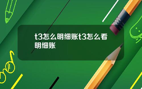 t3怎么明细账t3怎么看明细账