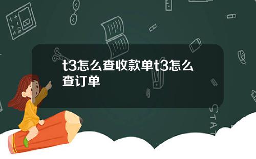 t3怎么查收款单t3怎么查订单