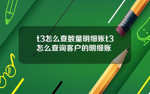 t3怎么查数量明细账t3怎么查询客户的明细账
