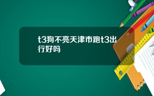 t3狗不亮天津市跑t3出行好吗
