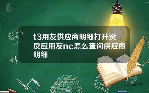 t3用友供应商明细打开没反应用友nc怎么查询供应商明细