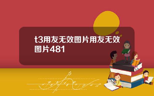 t3用友无效图片用友无效图片481