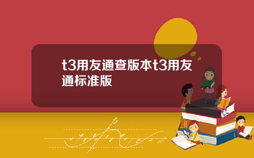 t3用友通查版本t3用友通标准版