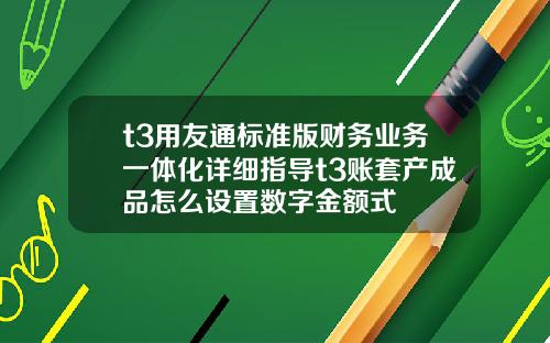 t3用友通标准版财务业务一体化详细指导t3账套产成品怎么设置数字金额式