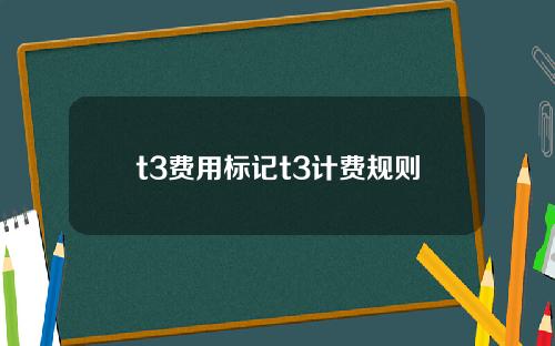 t3费用标记t3计费规则
